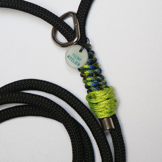 Correa de paseo para perro 'Thor'