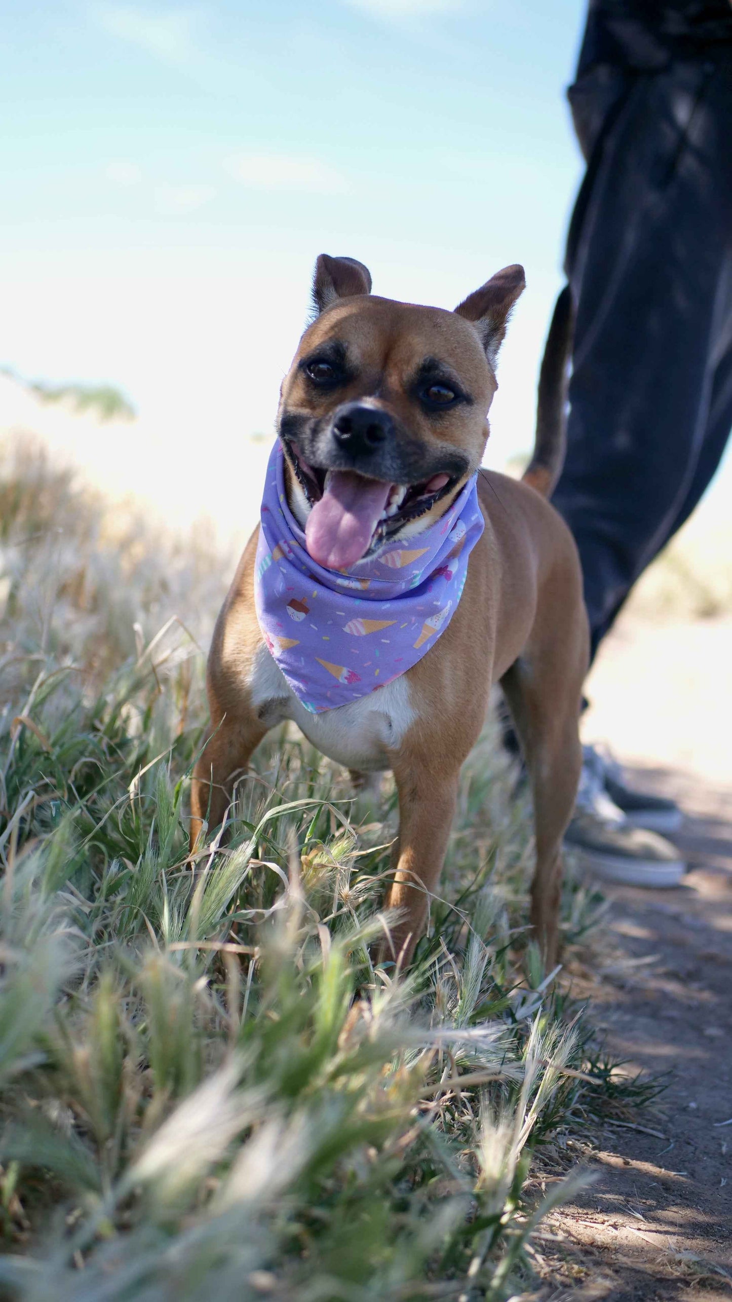 Bandanas